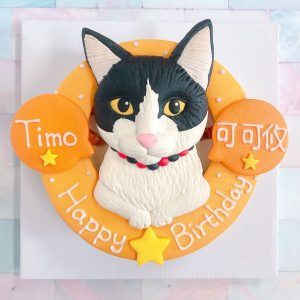 台北寵物生日蛋糕推薦，超可愛化賓士貓客製化造型蛋糕