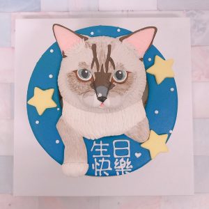 台北寵物生日蛋糕推薦，超可愛化暹羅貓客製化造型蛋糕