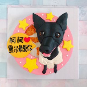 台北客製化寵物蛋糕推薦，超可愛台灣狗狗造型蛋糕