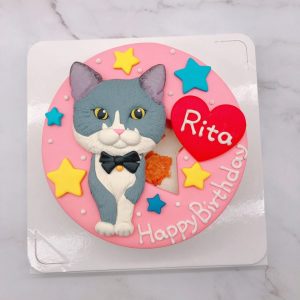 貓咪生日蛋糕推薦，寵物造型蛋糕宅配訂購