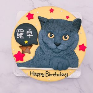 台北貓咪生日蛋糕推薦，寵物造型蛋糕宅配訂購